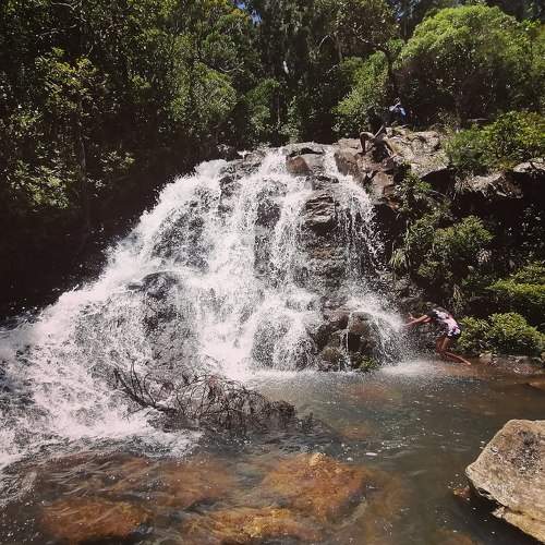 Photo #7489189