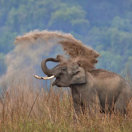 Photo #7489284