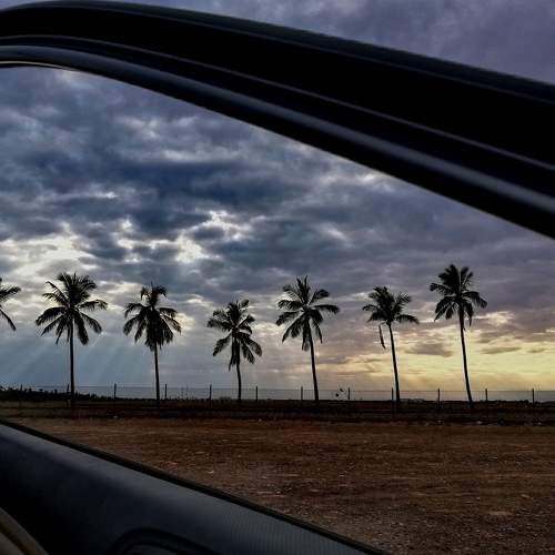 Photo #7489304