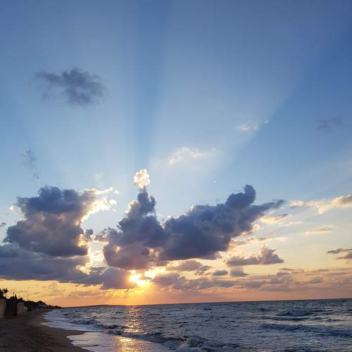 Photo #7489477