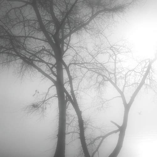 Photo #7489853