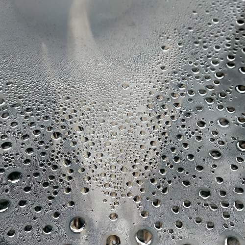 Photo #7490378