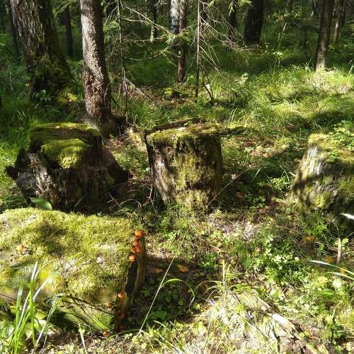 Photo #7490802