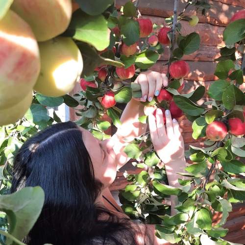 Photo #7490810