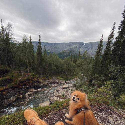 Photo #7490946