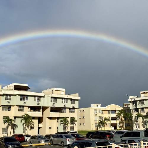 Photo #7491141