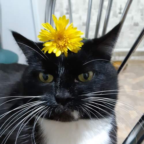 Photo #7491178