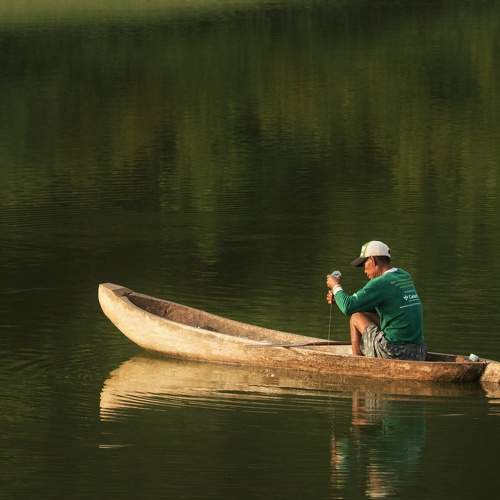 Photo #7491612
