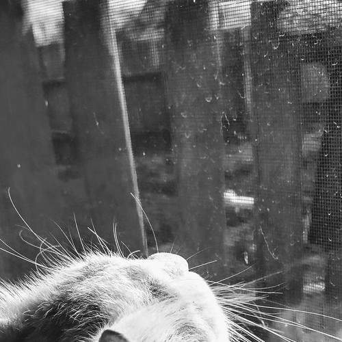 Photo #7491693