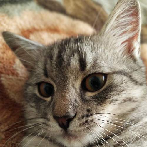 Photo #7491695