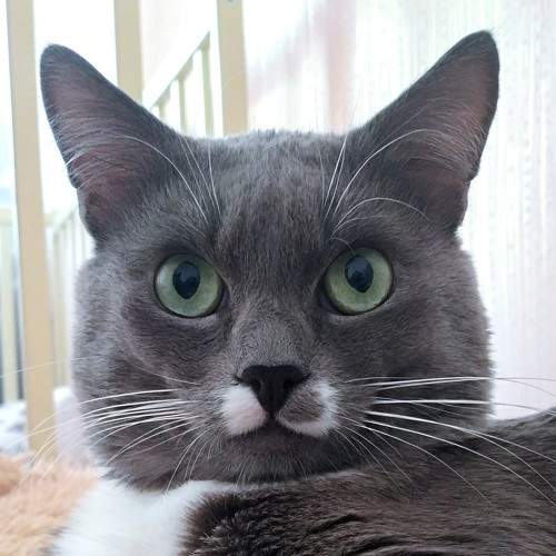 Photo #7491703