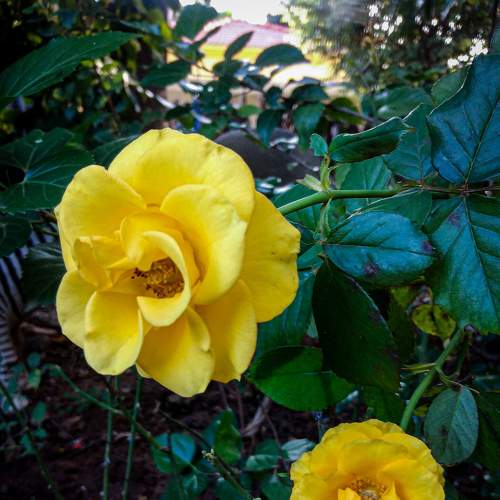 Photo #7491736