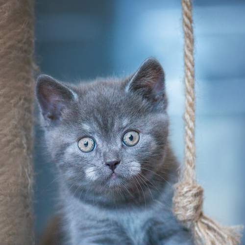 Photo #7492021