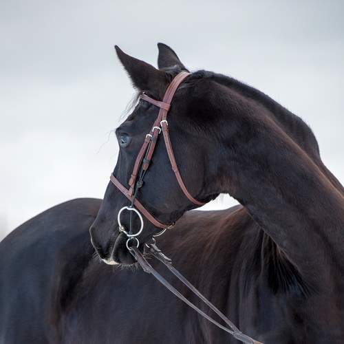 Photo #7492055