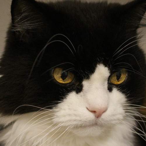 Photo #7492195