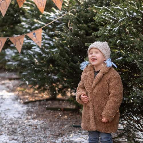 Photo #7493220