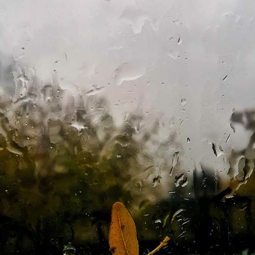 Photo #7493274