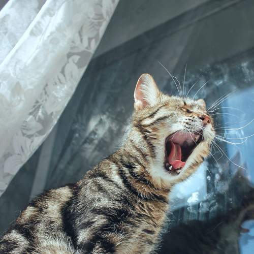 Photo #7493706