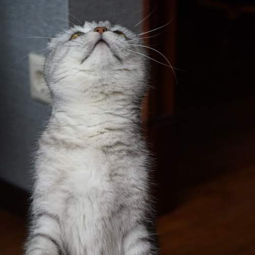 Photo #7493844
