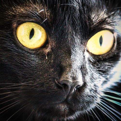 Photo #7493947
