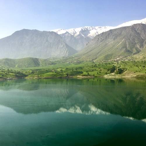 Photo #7494134