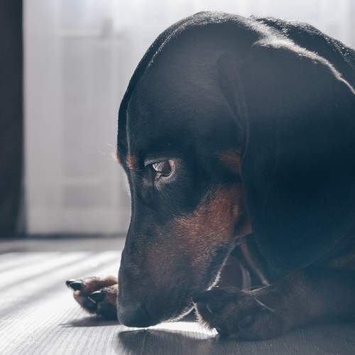 Photo #7494138
