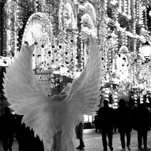 Angel