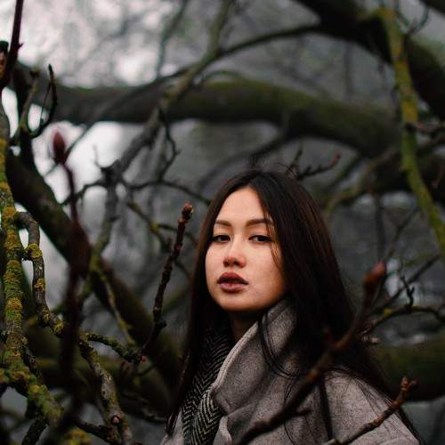 Photo #7494471