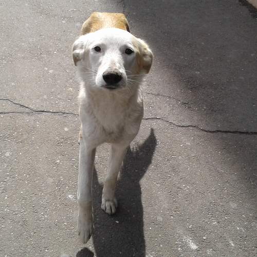 Photo #7494667