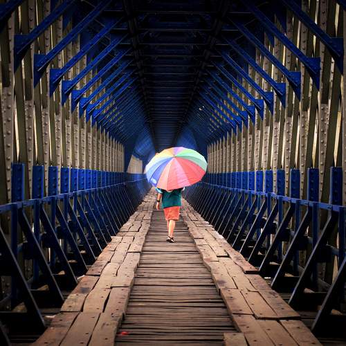 Umbrella