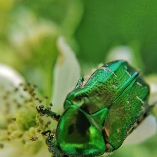 Photo #7494721