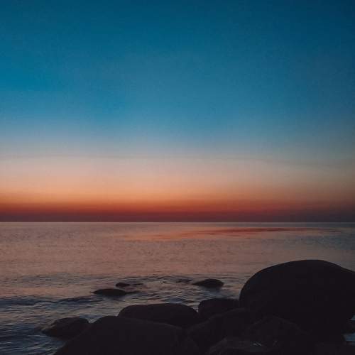 Photo #7495141