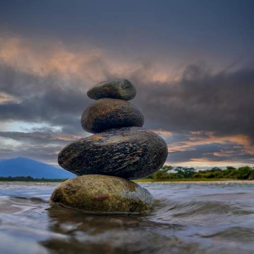 Photo #7495409