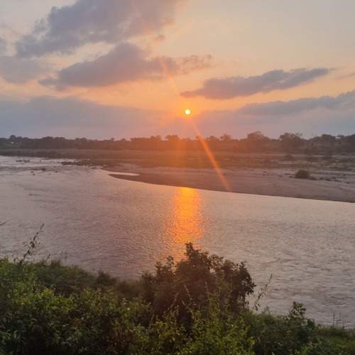 Photo #7495753