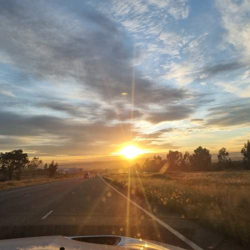 Photo #7495754