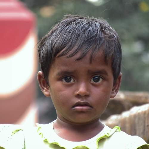 Photo #7495772