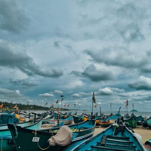 Photo #7495905