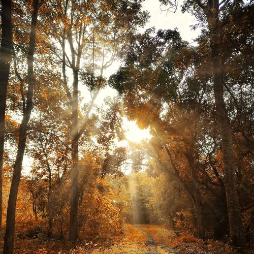 Photo #7495912