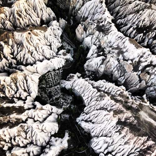 Photo #7496071