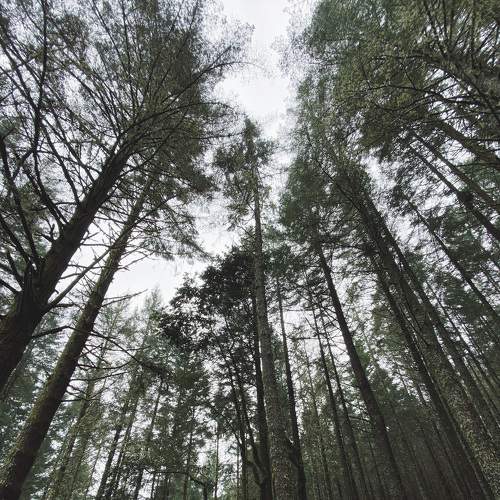 Photo #7496085