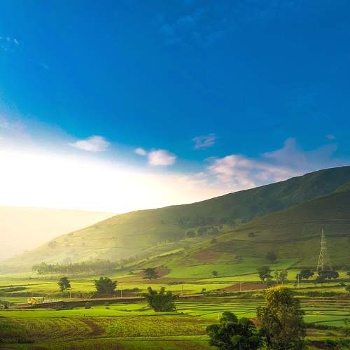 Photo #7496539
