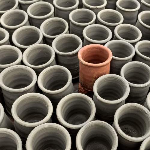 Photo #7496556