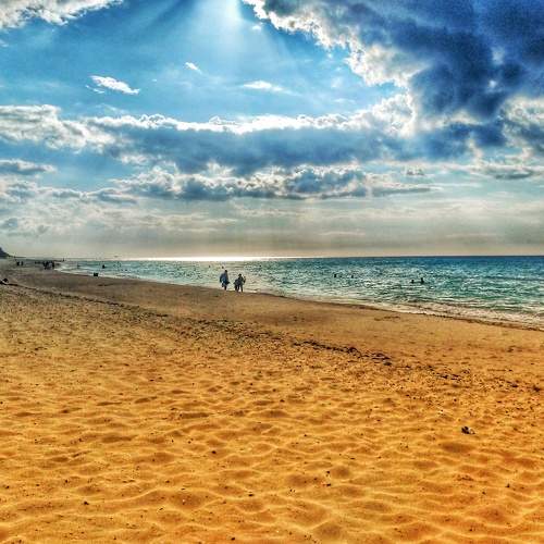 Photo #7496580
