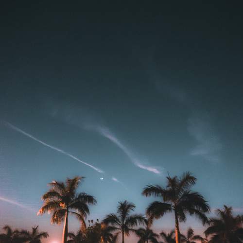 Photo #7496610