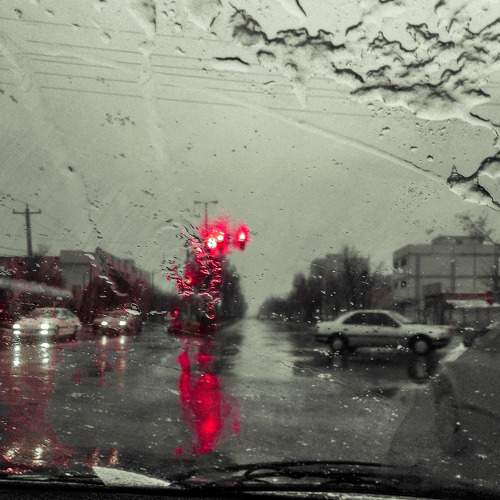Photo #7496651