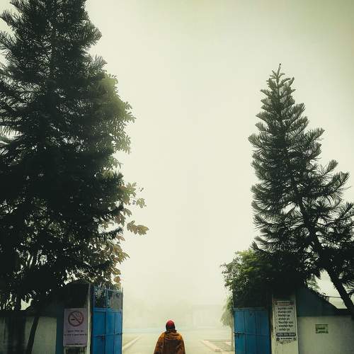 Photo #7496653