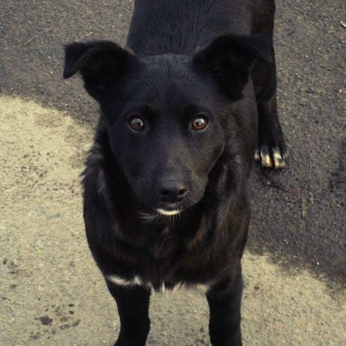 Photo #7496946