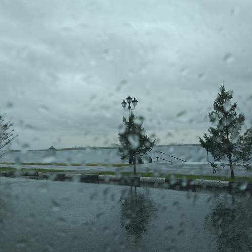 Photo #7496995