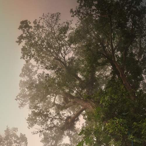 Photo #7497035