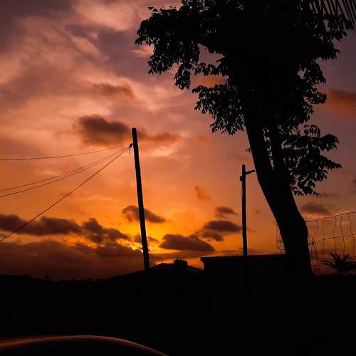 Photo #7497058